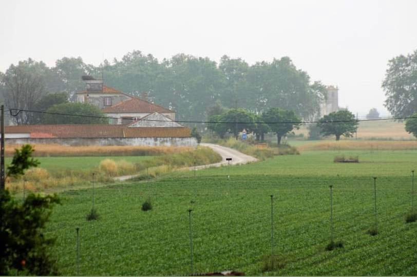 בית הארחה Azinhaga 	Casa De Azzancha מראה חיצוני תמונה